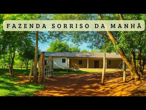 🌅 Fazenda Sorriso da Manhã — A História do Centenário Sr. Ataídes Rodrigues | Caracol – MS