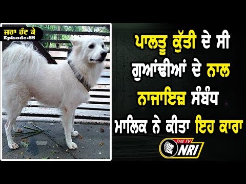 Dog abandoned by owner in kerala for having affair | Zara Hatt Ke Episode- 55