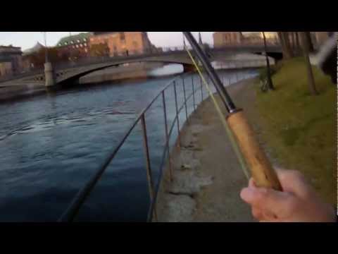 Fly fishing for sea trout in Stockholm, the capital city of Sweden. C&R by John
