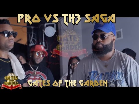 Th3 Saga vs Pro