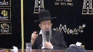 הרב בן ציון מוצפי • לוד בית הכנסת אליעזר הגדול (הרב בן ציון מוצפי) - התמונה מוצגת ישירות מתוך אתר האינטרנט יוטיוב. זכויות היוצרים בתמונה שייכות ליוצרה. קישור קרדיט למקור התוכן נמצא בתוך דף הסרטון