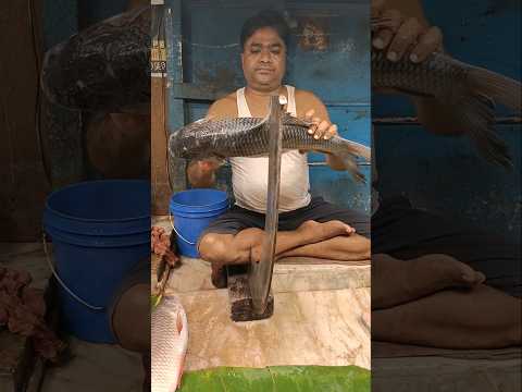 🔥😱 Amazing !! Traditional Beautiful Village Best Katla Fish Cutting Skills 😱🫢 #shorts​