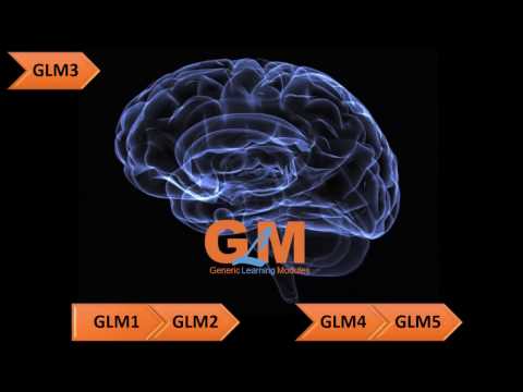 GLM3 - kapabiliteter