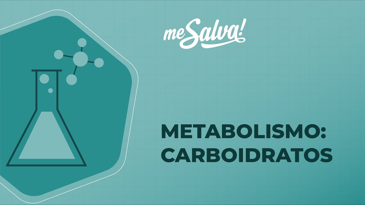 Metabolismo – Carboidratos  - Bioquímica - Me Salva! Saúde