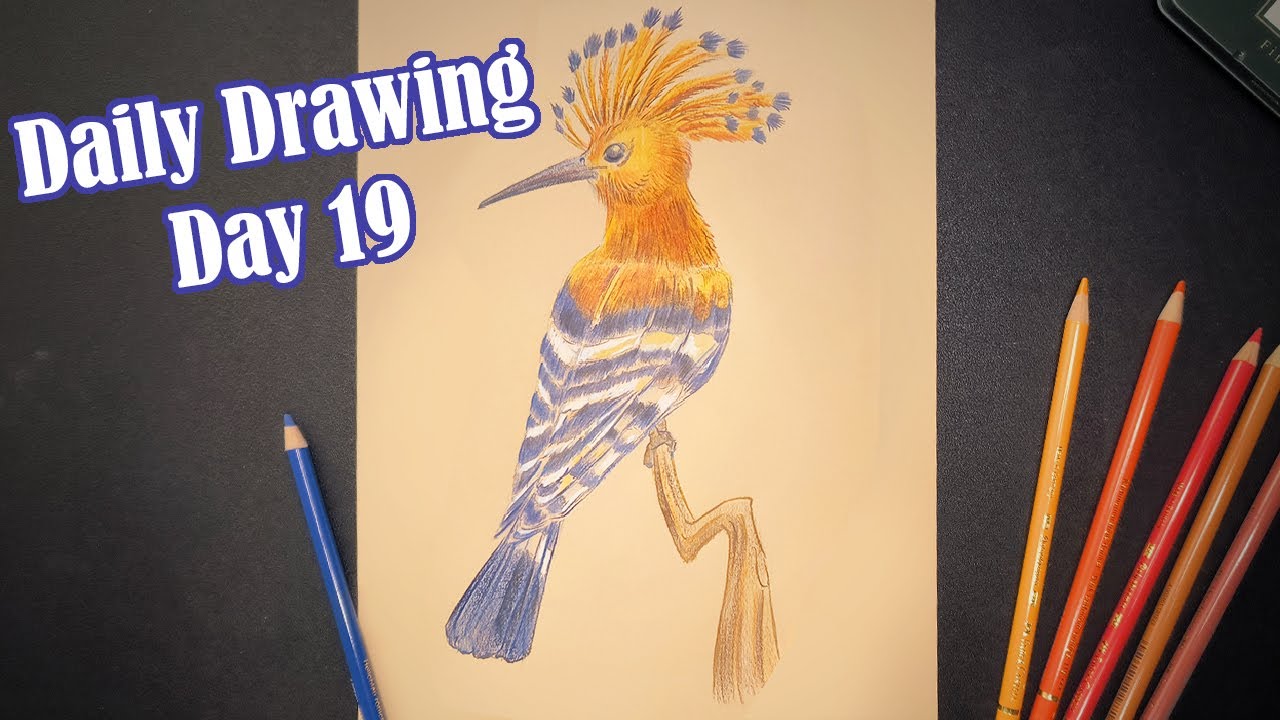 First Colored Drawing!