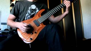 All These Feelings (Vildhjarta) - Guitar cover by Havok