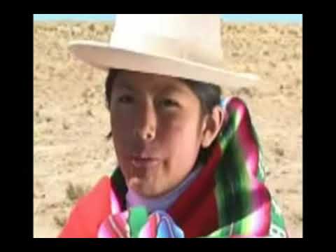 wari wawita  canción aymara subtitulada