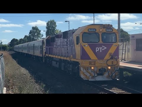 N464 at Broadmeadows Station 23/02/2019