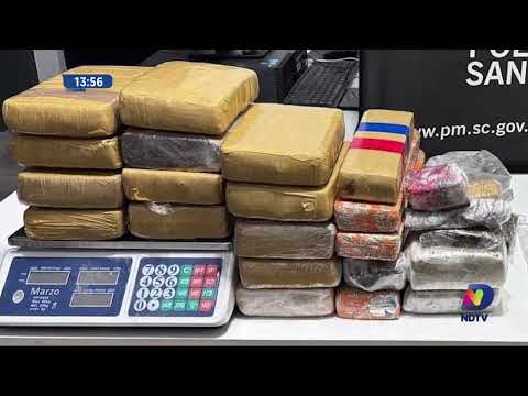 Casa no interior de Cordilheira Alta escondia mais de 20 kg de drogas
