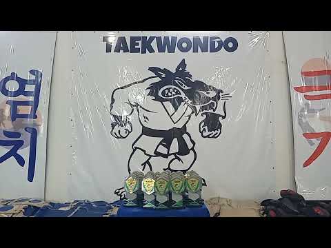Taekwondo indiara-goias, troféus para os convidados de honra 2025