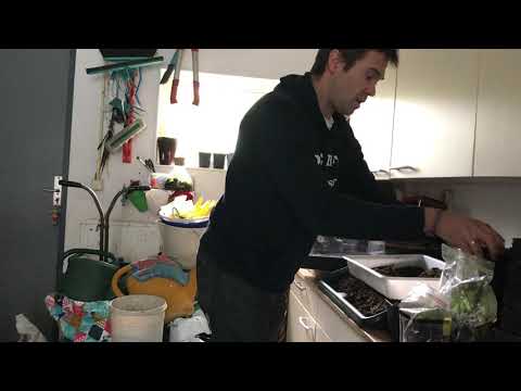 Plant Propagation workshop Nico Tillie : preparing for plant cuttings 1