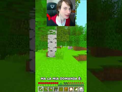GIOCO alla Prima Versione di Minecraft!!