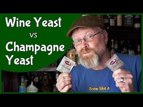 Wine Yeast vs Champagne Yeast!  Which is better?