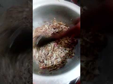 Yvette preparing Omena for the luo