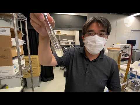 教育学科 【立教・理・生命】塩見大輔研究室