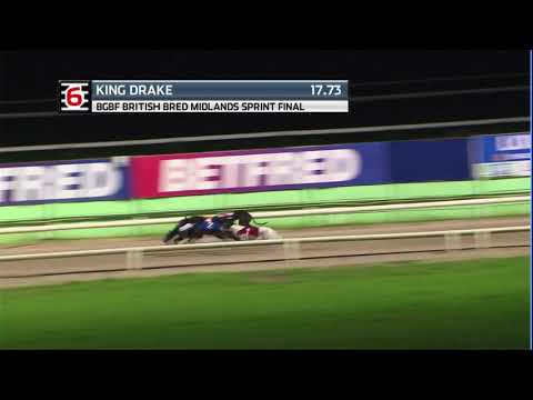 2020 BGBF MIDLANDS SPRINT FINAL - T6 KING DRAKE