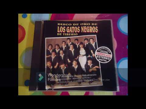 Los Gatos Negros De Tiberio - Pelotica De Ping - Pong.