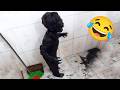 Compilation Of Funny Silly Moments That Will Make You Laugh Hard Funny Video 2025 14