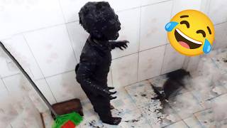 Download lagu Compilation of Funny & Silly Moments That Will Make You Laugh Hard 😂🤣 Funny Video 2025 #14 mp3 Download lagu Compilation of Funny & Silly Moments That Will Make You Laugh Hard 😂🤣 Funny Video 2025 #14 mp3