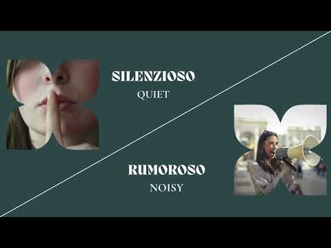 21 Common Opposite Words in Italian | Italian for Beginner