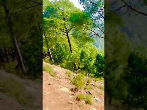 Nepal 🇳🇵#bodybuilding