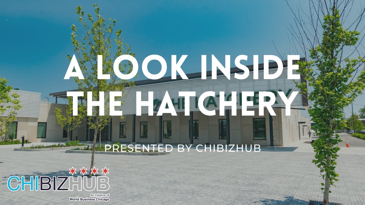 A Look Inside The Hatchery