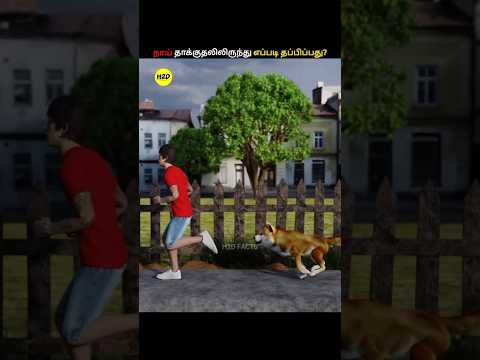நாய் தாக்குதலிலிருந்து எப்படி தப்பிப்பது? | How To Survive A Dog Attack? | #shorts