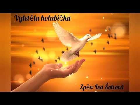 Iva Šolcová - Vyletěla holubička