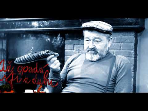 Až opadá listí z dubu - vypráví Jan WERICH