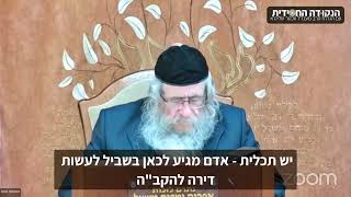 הגה״ח הרב ווכטר שליט״א | לבזבז את כל הכסף בסין (הרב אברהם מנחם מענדל וכטר) - התמונה מוצגת ישירות מתוך אתר האינטרנט יוטיוב. זכויות היוצרים בתמונה שייכות ליוצרה. קישור קרדיט למקור התוכן נמצא בתוך דף הסרטון