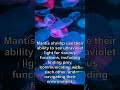 Did You Know The Creature That Can See Ultraviolet Light