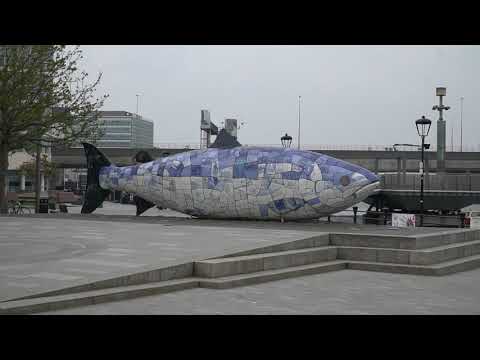 Belfast, Nordirland - Europa Roadtrip 2019