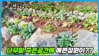 식물이 자라지 않던 죽은 공간의 화려한 변신!!