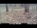 IMG 0002