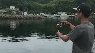 平瀬彪 撮影　アジング