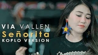 Download lagu Via vallen - Senorita official lyric ( shawn mendes ft camila cabello) mp3 Download lagu Via vallen - Senorita official lyric ( shawn mendes ft camila cabello) mp3