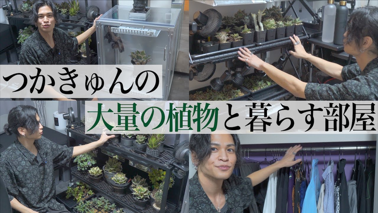 大量の植物と暮らす男、つかきゅんのルームツアー【お久しぶり】