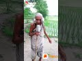 Ramdhan Ki Hasir Gaan Funny Viral Vedeo