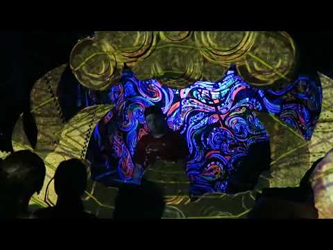 Wikileadz @ 3rd Bridge to Osaka Party , Bar Jaii 2017