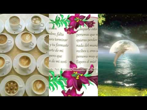 Lo último montaje de che