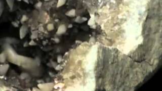 preview picture of video 'Rare & Beautiful Keokuk Geode Collection'