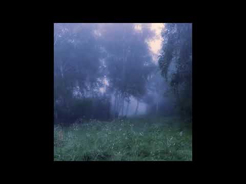 [free] lil lotus x scum x killedmyself x 93feetofsmoke type beat (p/ nevrfall)