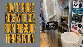How to purge kegs with CO2 from pressure fermentation