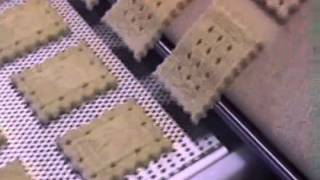 Shortbread Biscuit Depositing on an Empire Cookie Depositor