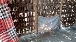 একটা মানুষ এরচেয়ে আর কি গরিব হতে পারে!, আটোয়ারী, পঞ্চগড়