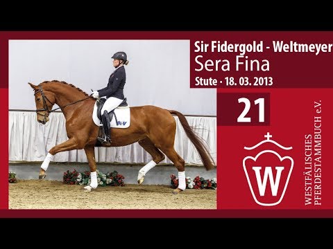21 Sera Fina Stute v. Sir Fidergold - Weltmeyer