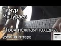 Тимур Муцураев - Твоя нежная походка (видео урок на гитаре) Разбор как ...