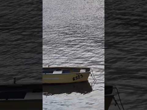 Puertito del Buceo 🇺🇾 #montevideouruguay