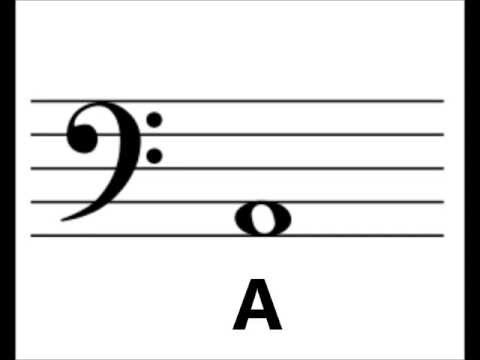 Bass Clef Note Identification exercise--learn your notes!