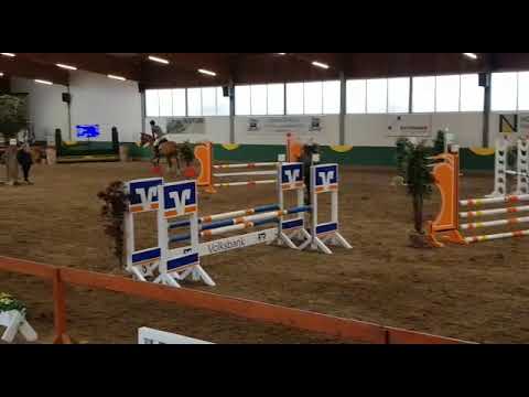 Zidan v. Zinedine-Sandro, Turnier Freckenhorst 2019